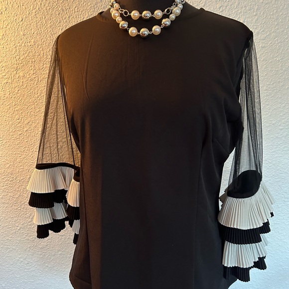 EUC Classy Black Blouse with Sheer and Ruffled Sleeves - Picture 2 of 3